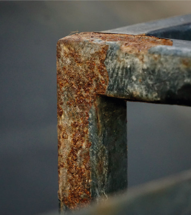 FIERRO: material vivo