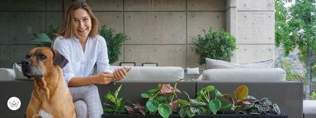 Conversación Bonhomía con Isi de @thenewway