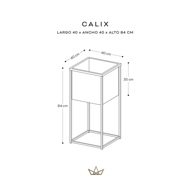 Colección Epífitos