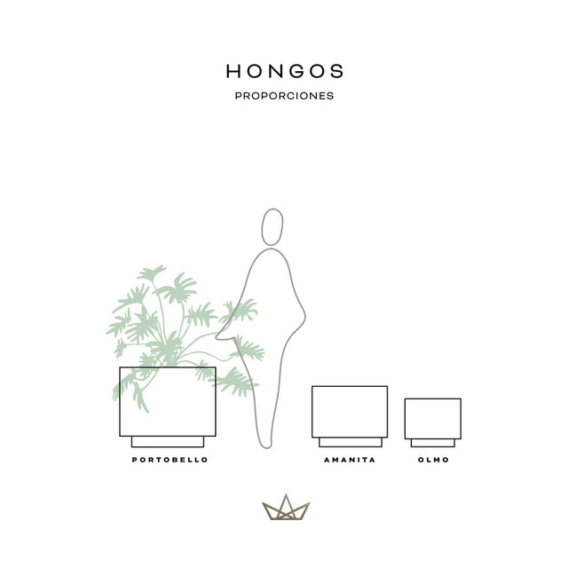 Colección Hongos