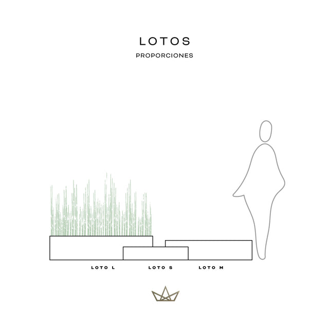 Colección Lotos