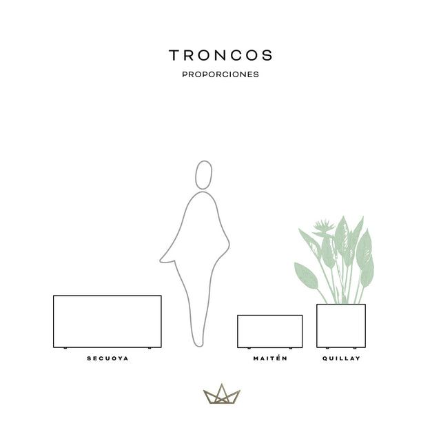 Colección Troncos