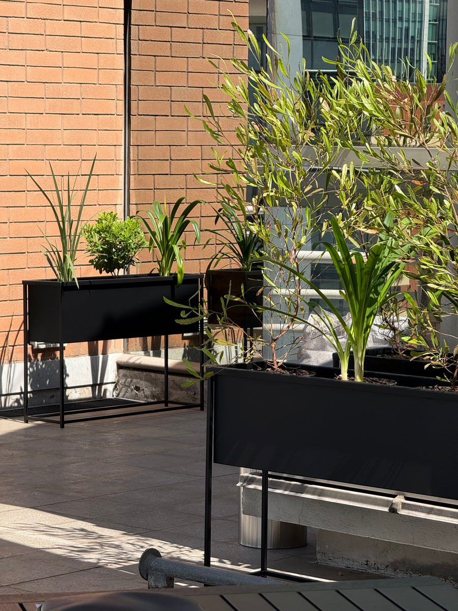 Terraza Oficina