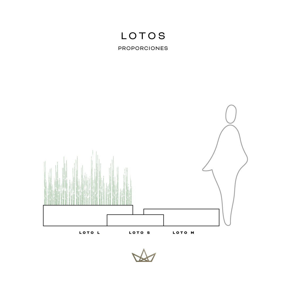 Colección Lotos