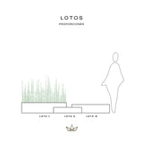 Colección Lotos