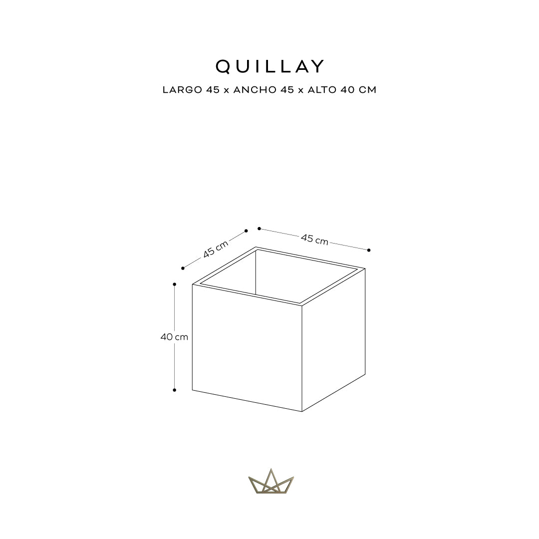 Colección Troncos